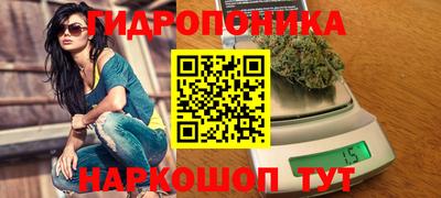 бошки Гусев