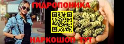 бошки Гусев
