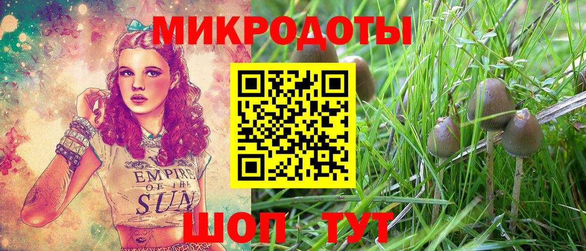 Бердск  Галлюциногенные грибы Magic Shrooms  Галлюциногенные грибы Cubensis  Вход с VPN 