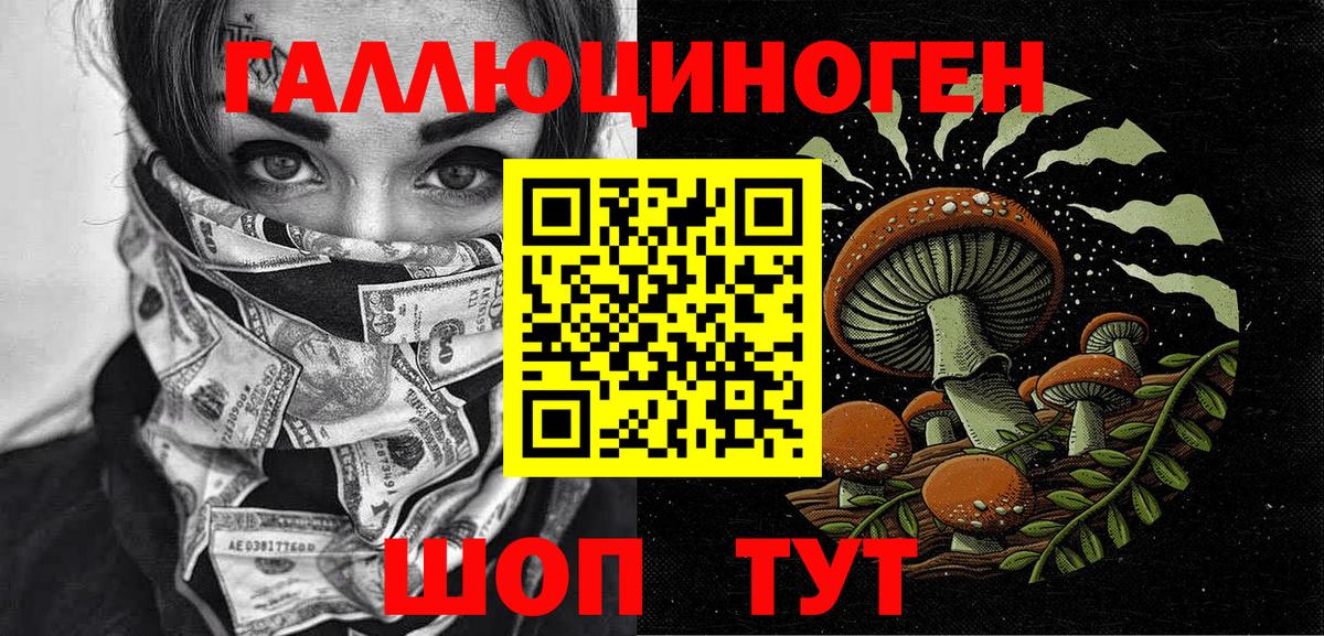 Галлюциногенные грибы Psilocybe Бердск